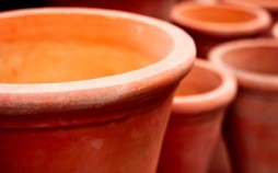 Planters and pots